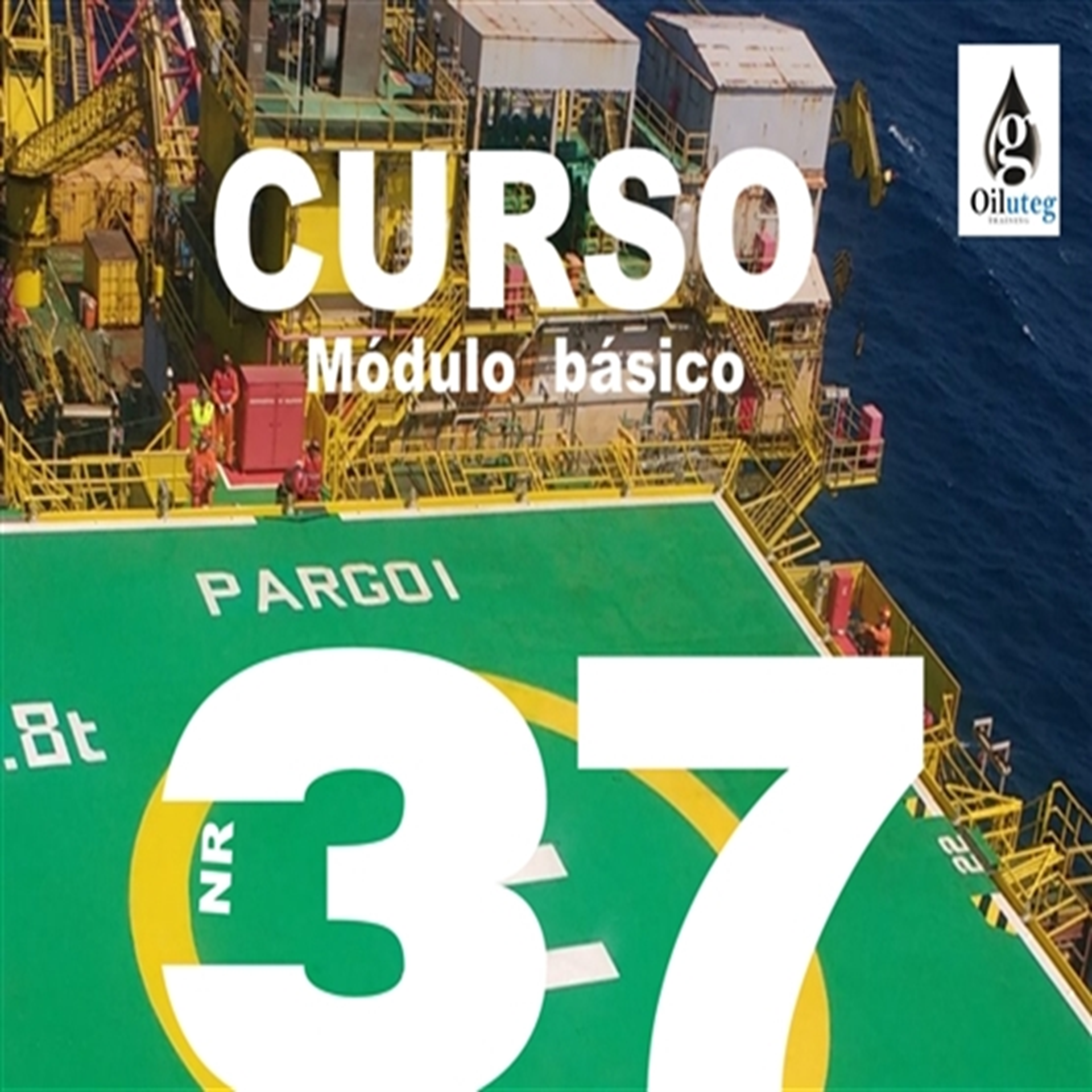 Curso Básico NR-37